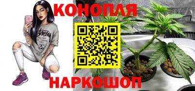 кокаин Шелехов