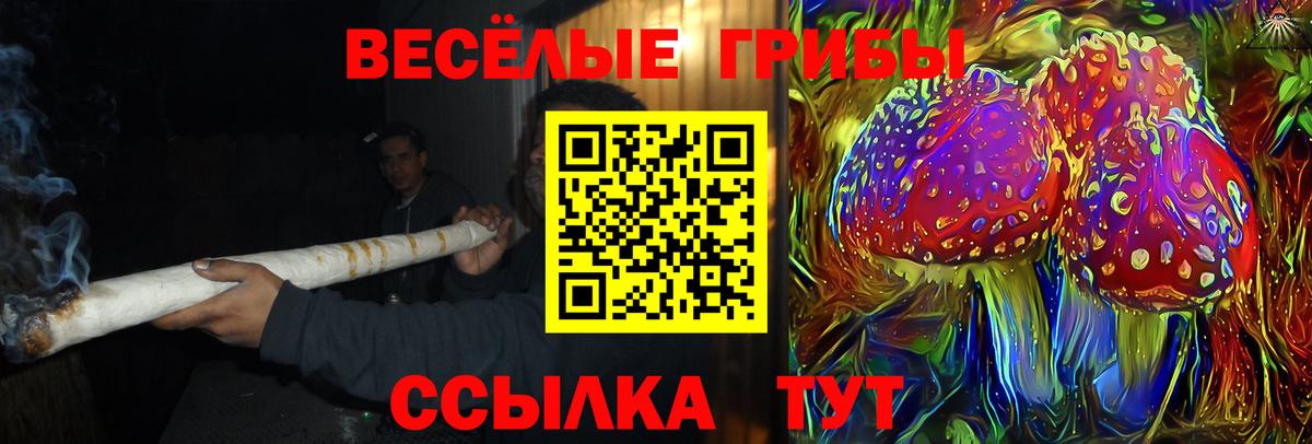 Псилоцибиновые грибы мицелий  Вход с VPN  Большой Камень  Галлюциногенные грибы прущие грибы 